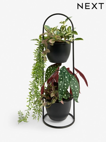 Natural Loxley Artificial Dried Seed Pod Arrangement (F14547) | £28