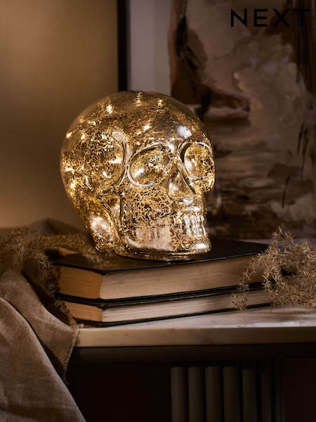 Silver Skull Battery Operated Feature Light (F16473) | £22