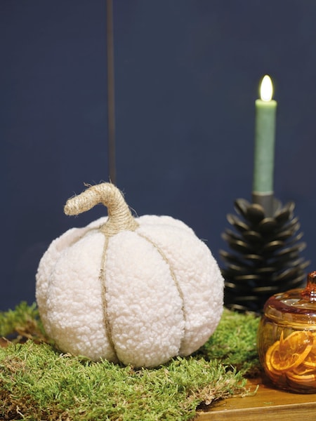 Decoris Cream Teddy Autumn Pumpkin Decoration (F19577) | £15
