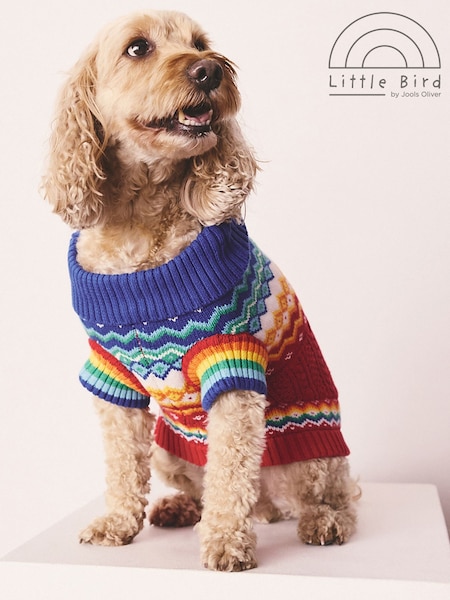 Little Bird by Jools Oliver Multi Knitted Pets Jumper (F20217) | £24
