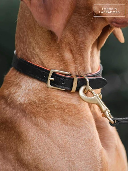 Lords and Labradors Black Leather Dog Collar (F22183) | £45 - £55
