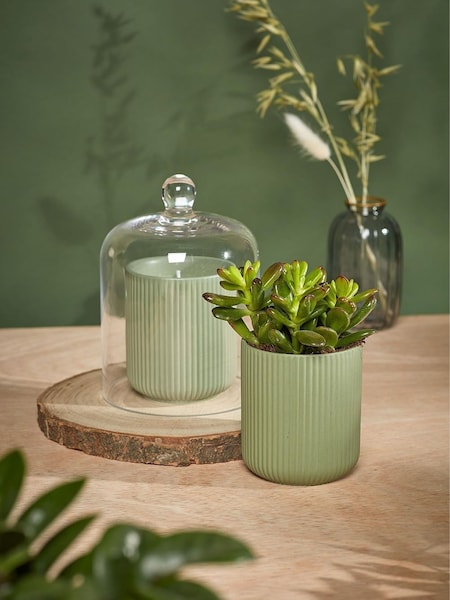 Portico Designs The Urban Gardener Scented Soy Candle (F26685) | £17