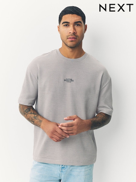 Grey Relaxed Fit Graphic Print Heavyweight Striped T-Shirt (F28718) | £18