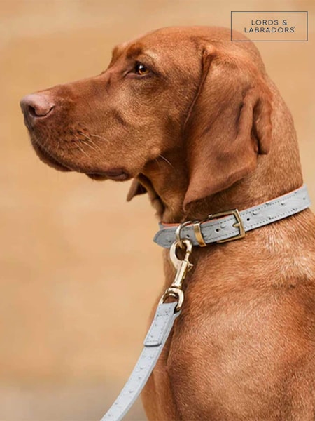Lords and Labradors Grey Leather Dog Collar (F30008) | £45 - £55