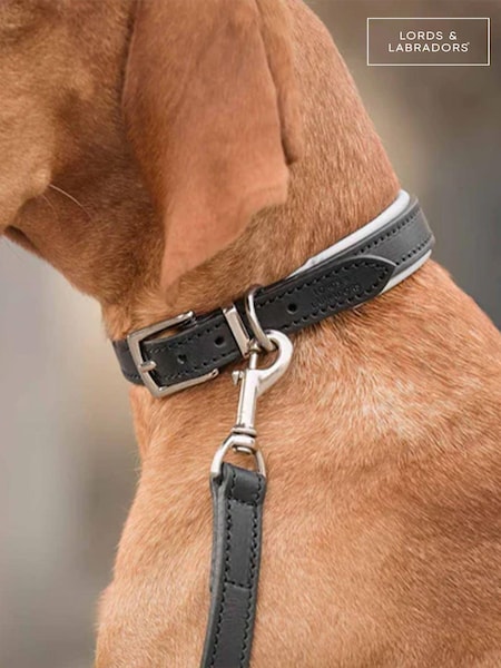 Lords and Labradors Black Grey Italian Leather Dog Collar (F32780) | £48 - £60