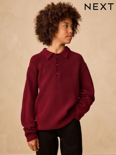 Plum Purple Knitted Button Neck Polo Shirt (3-16yrs) (F40072) | £16 - £21