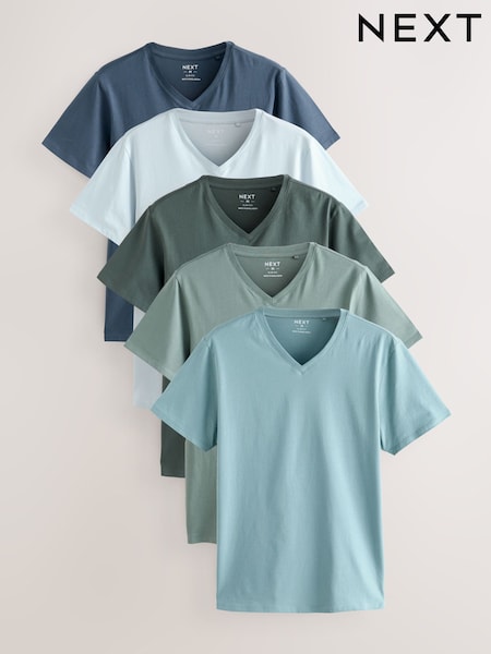 Blue Regular Fit 100% Cotton V-Neck Layering T-Shirts 5 Pack (F46000) | £37