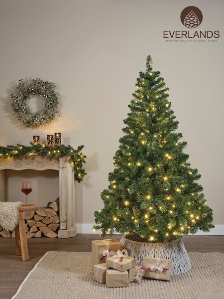 Everlands Green Imperial Pine 6ft Pre Lit Christmas Tree (F48392) | £90