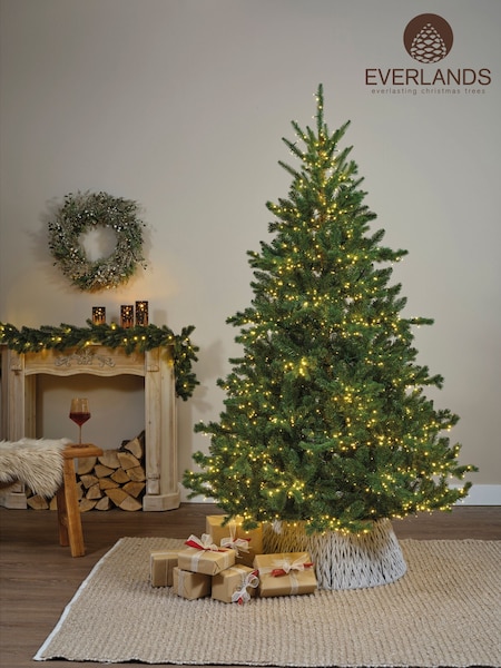 Everlands Alba Fir Pre Lit Christmas Tree (F48398) | £260