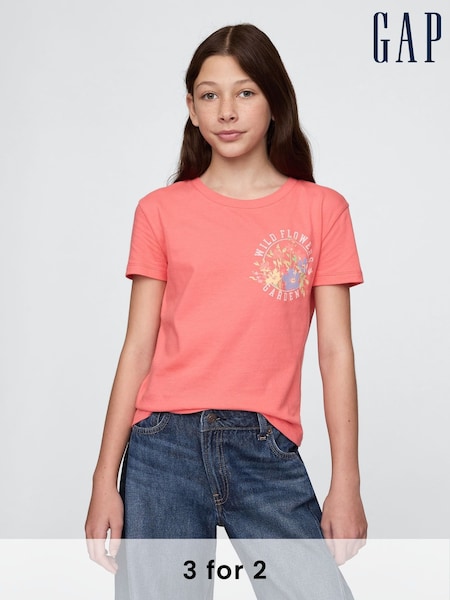 Gap Red Short Sleeve Crew Neck Graphic T-Shirt (4-13yrs) (F49029) | £10
