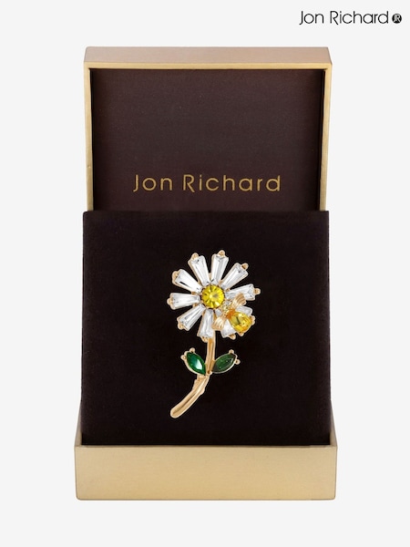 Jon Richard Gold Tone Daisy Gift Boxed Brooch (F51592) | £18