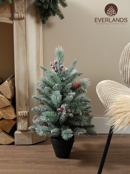 Everlands Green Windham Spruce Frosted 1.5ft Christmas Tree (F53742) | £24