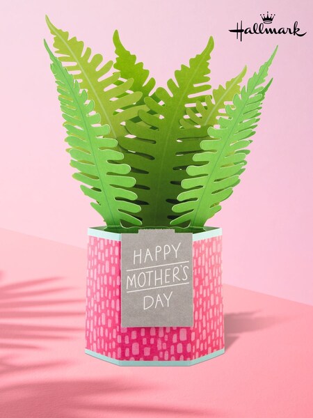 Hallmark 3D Pop Up Fern Plant Mothers Day Card (F54093) | £5