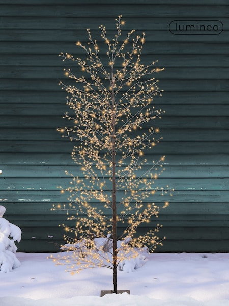 Lumineo Black Pre Lit Outdoor Warm White LED Christmas Tree (F55061) | £100