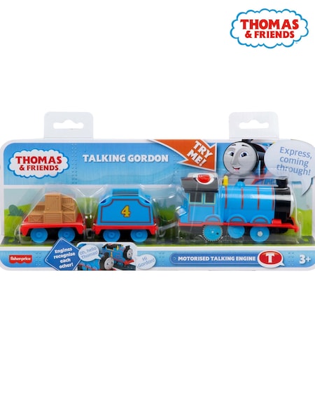 Thomas and Friends Motorised Talking Gordon (F55601) | £28