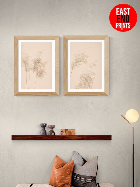 East End Prints Set of 2 Oak Pampas Grass Framed Art Print (F61985) | £90 - £245