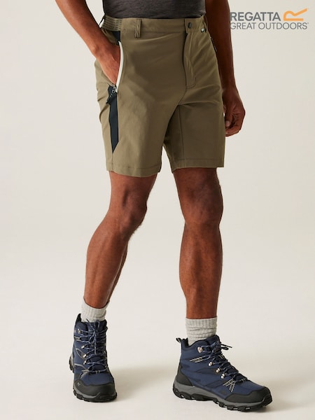Regatta Brown Mens Mountain II Walking Shorts (F64930) | £49