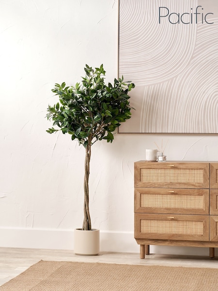 Pacific Lifestyle Green Bay Tree in Pot (F66848) | £299