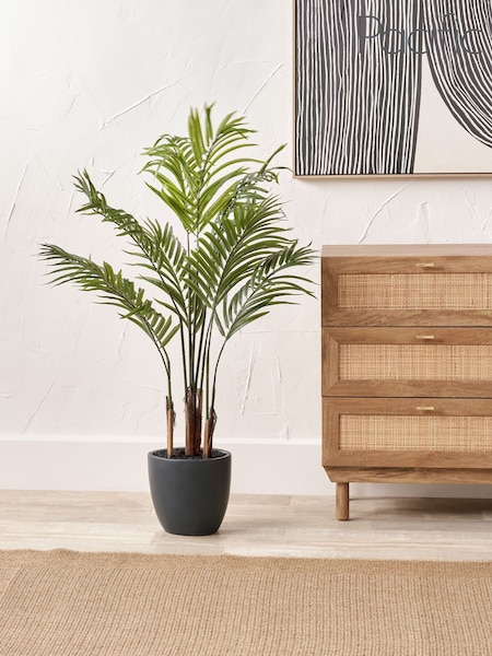 Pacific Lifestyle Green Areca Palm Plant in Pot (F66861) | £90