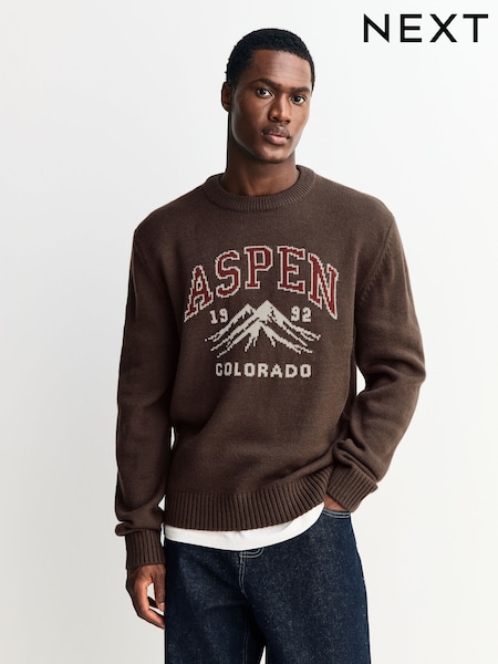Brown Regular Fit Aspen Crew Neck Jumper with Wool (F67452) | £36