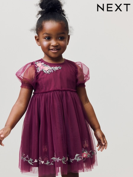 Berry Red Embroidered Mesh Party Dress (3mths-10yrs) (F69846) | £19 - £25