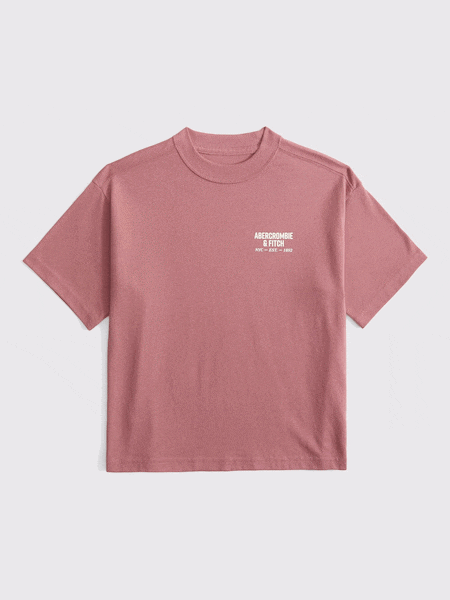 Abercrombie & Fitch Blue Back Logo T-Shirt (F73985) | £19 - £21
