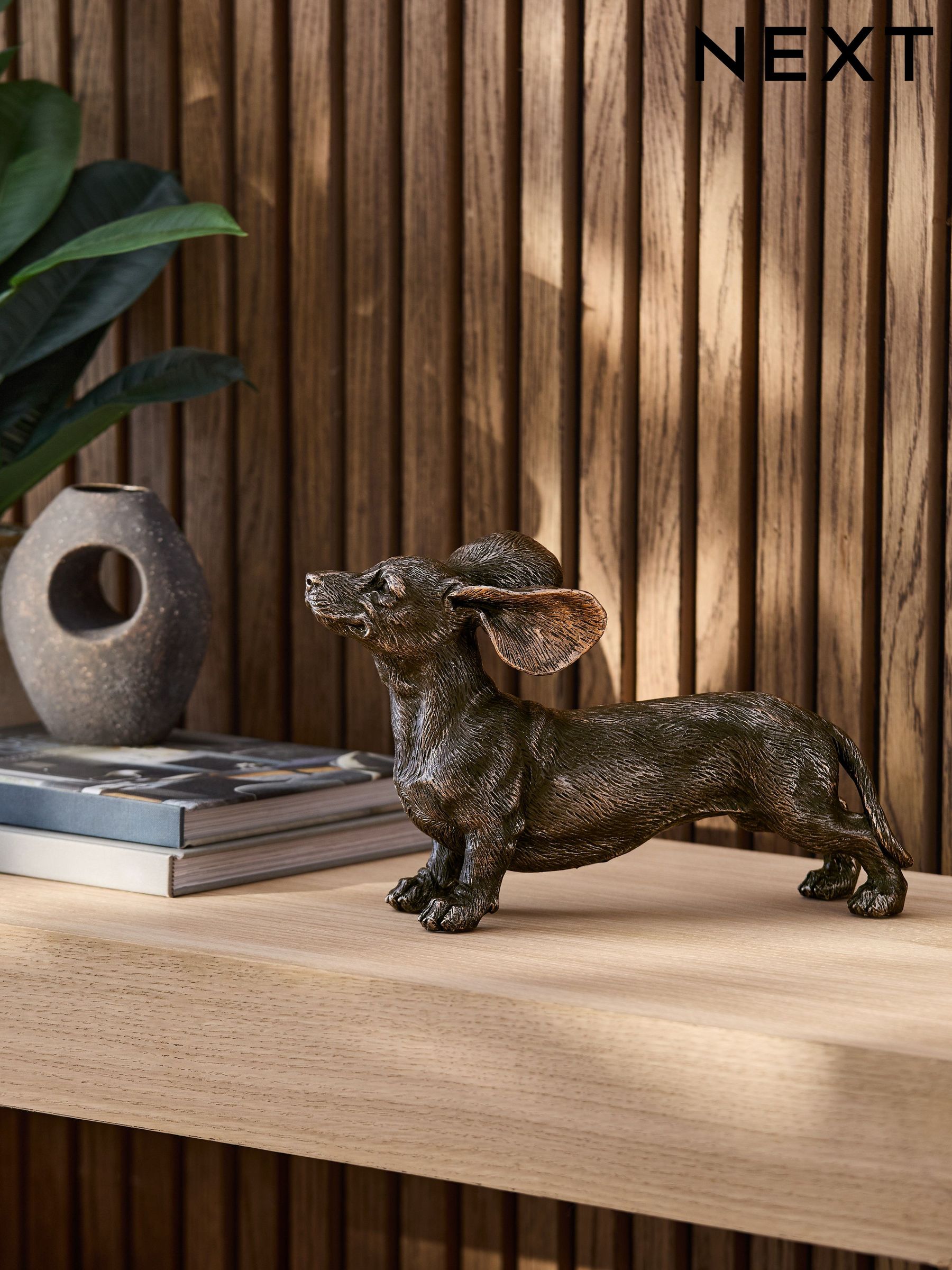 Buy Dachshund Homeware Decorativeaccessories Online | Next UK