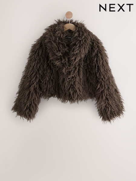 Chocolate Brown Shaggy Faux Fur Coat (F78148) | £82