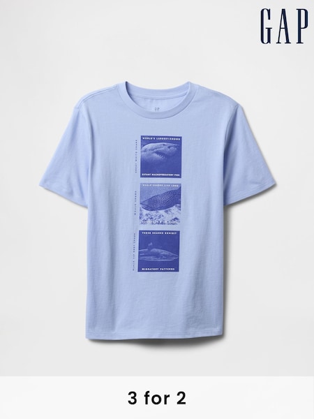 Gap Blue Graphic T-Shirt (4-13yrs) (F79371) | £10
