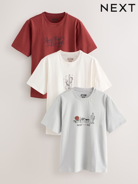 Black/White/Rust Regular Fit Graphic Print T-Shirts 3 Pack (F88925) | £38