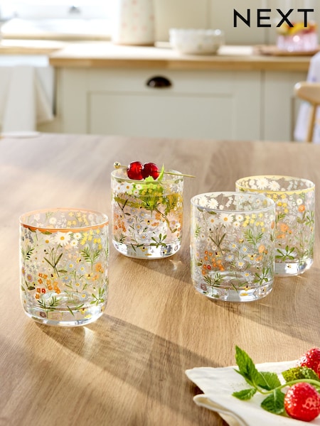 Set of 4 Multi Maisie Floral Tumbler Glasses (G00752) | £18