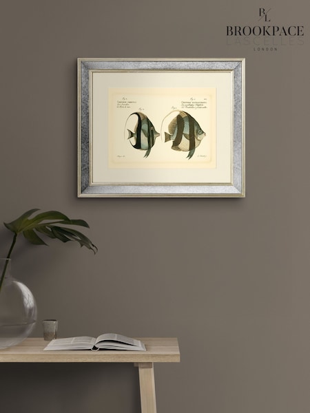 Brookpace Lascelles Cream Mirror Hand Made in UK 'Bloch Antique Fish I in Antique Gold Toned Mirrored Frame  40 x 50cm Wall Art (G02784) | £150