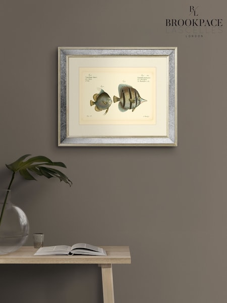 Brookpace Lascelles Cream Mirror Hand Made in UK 'Bloch Antique Fish III in Antique Gold Toned Mirrored Frame  40 x 50cm Wall Art (G02786) | £150