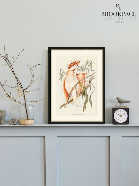 Brookpace Lascelles Multi Black Hand made in UK Leadbeaters Cockatoo by Elizabeth Gould in a Slim Frame with Antique Champagne Silver Inner Bezel  40 x 50 (G02859) | £150
