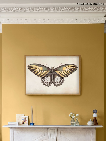 Graham & Brown Multicolour Whimsical Wings Wood Frame (G11501) | £106