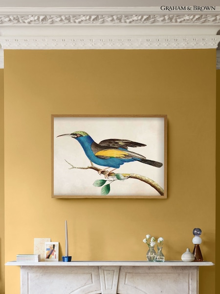 Graham & Brown Blue Ready For Flight Wood Frame (G11515) | £60