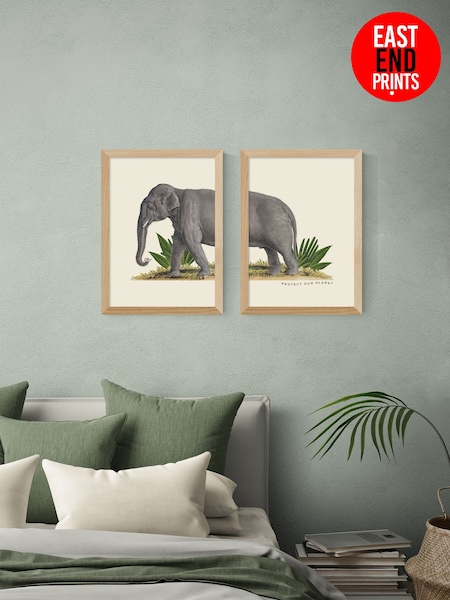 East End Prints Set of 2 Oak Elephant Wall Art Prints by Natural History Museum (G16233) | £170