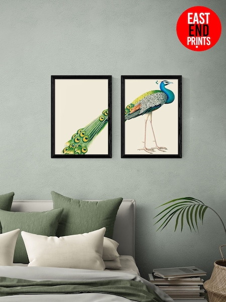 East End Prints Set of 2 Black Peacock Print Wall Art by Natural History Museum (G16239) | £120 - £170