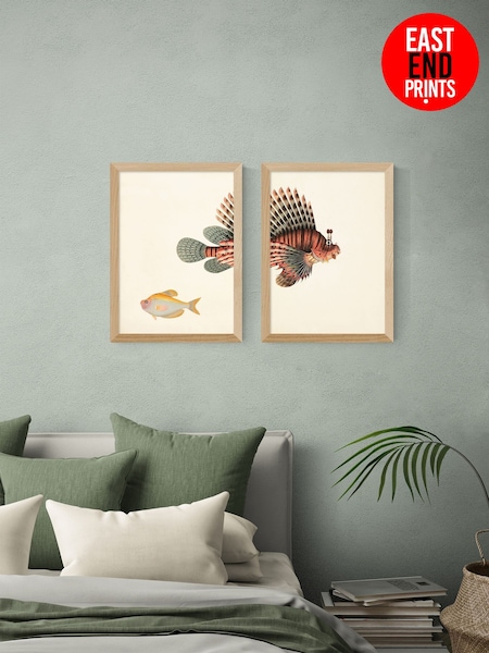 East End Prints Set of 2 Oak Fish Wall Art Prints by Natural History Museum (G16247) | £170