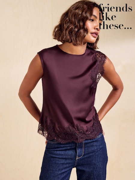 Fig Purple - Friends Like These Premium Satin Lace Sleeve Top