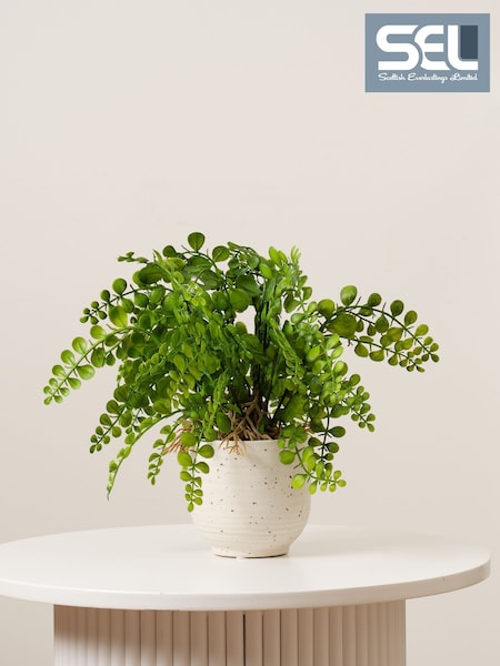 Scottish Everlastings Ltd Artificial Fern In Speckled Ceramic Pot