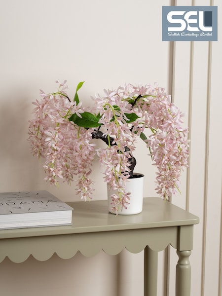 Scottish Everlastings Ltd Artificial Orchid Bonsai In Pot