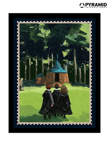 Pyramid International Green Harry Potter Looking Forward Hagrids Hut Collector Print Framed (G53086) | £17