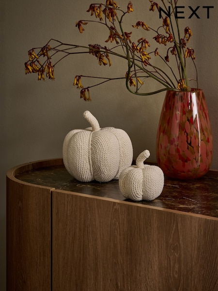 Set Of 2 Textured Pumpkin Autumn Room Decorations