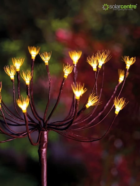 The Solar Centre Warm White Solar Wild Fennel Light (G53898) | £20