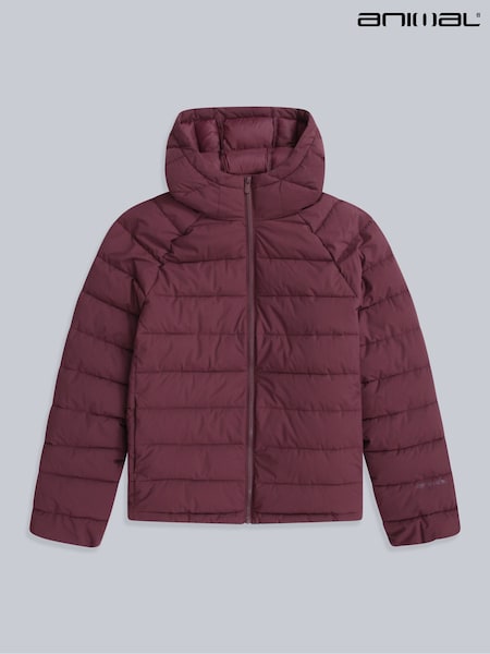 Animal Purple Light Cloud Cosi Womens Padded Jacket (G56164) | £70