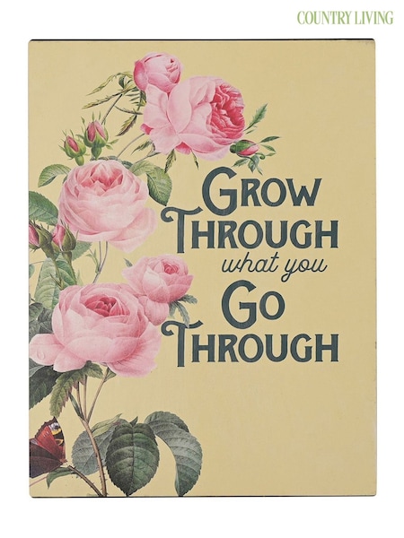Country Living Yellow Grow Through What You Go Wall Plaque (G56390) | £13