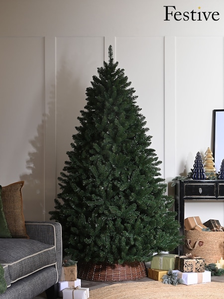 Festive 5ft Cedar Ridge fir Christmas Tree (G63262) | £100