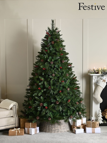 Festive 6ft Ben Nevis Pine Christmas Tree (G63281) | £200
