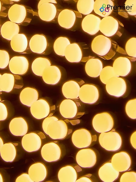 Premier Decorations Ltd 360 LED Battery WW Operated Berry Bright Lights (G73609) | £18